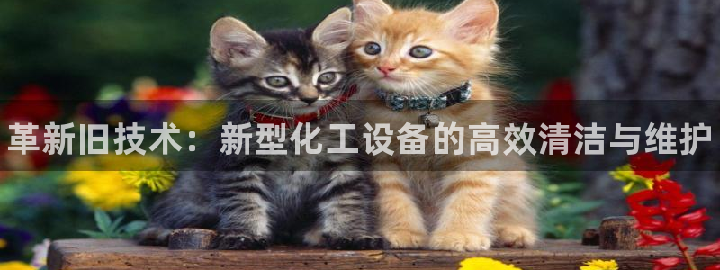 新航娱乐的会员权益与保障在哪：革新旧技术：新型化工设备的高效