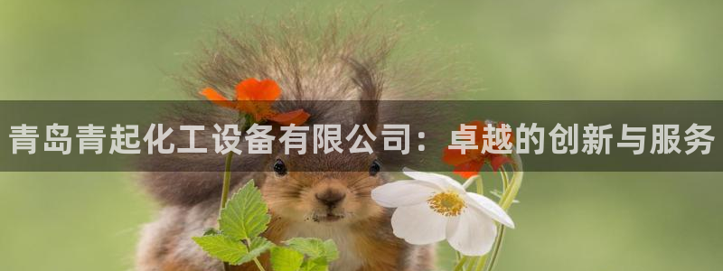 新航娱乐app手机版特色功能介绍在哪