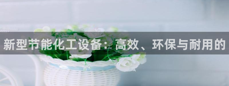 新航娱乐公司简介和历史背景介绍