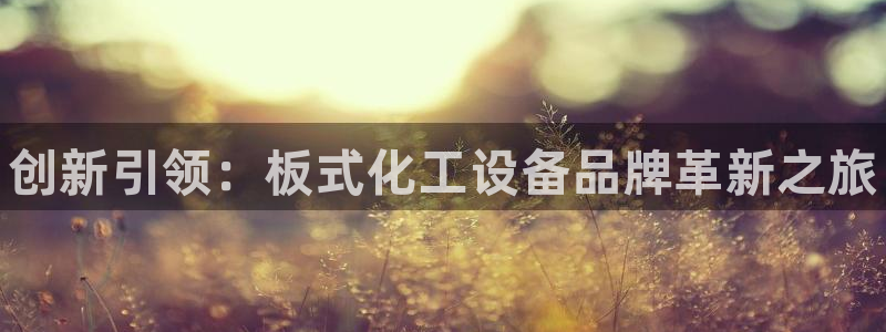 新航娱乐的股东名单和背景介绍：创新引领：板式化工设